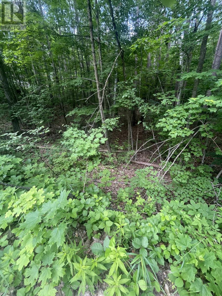 0 Pond Road, Tay Valley, Ontario K0H 2B0 - Photo 4 - X13468526
