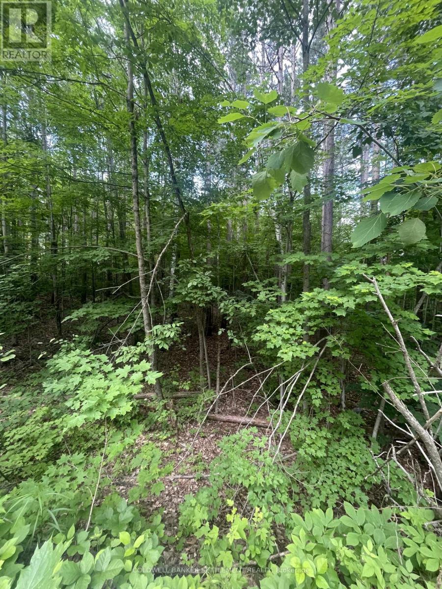 0 Pond Road, Tay Valley, Ontario K0H 2B0 - Photo 5 - X13468526