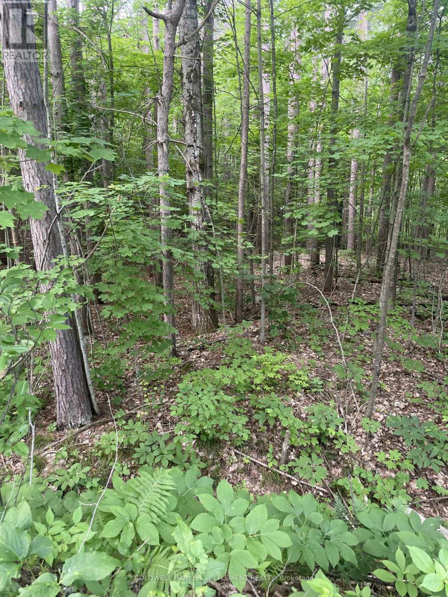 0 Pond Road, Tay Valley, Ontario K0H 2B0 - Photo 6 - X13468526