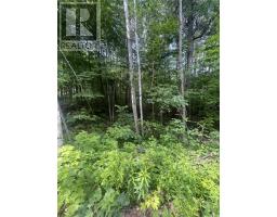 0 POND ROAD, Tay Valley, Ontario