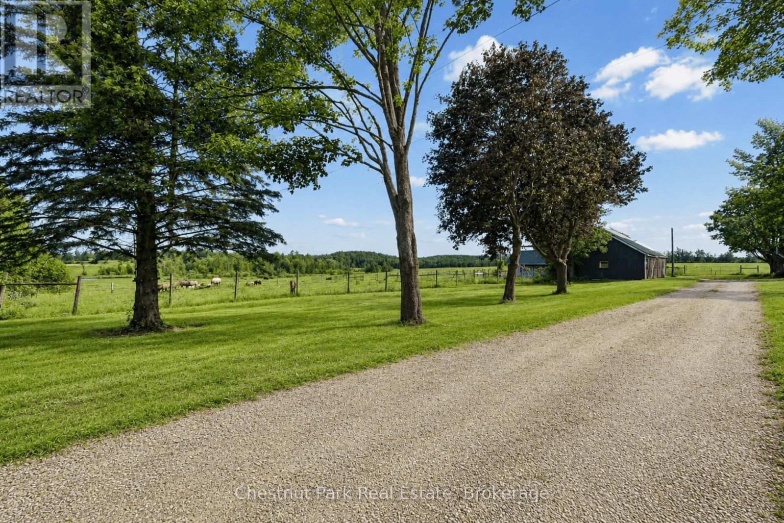 3734 Line 12 N, Oro-Medonte, Ontario  L0K 1E0 - Photo 6 - S13468534