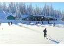 440 & 450 Arnica Lane, Silver Star, BC V1B 3M1