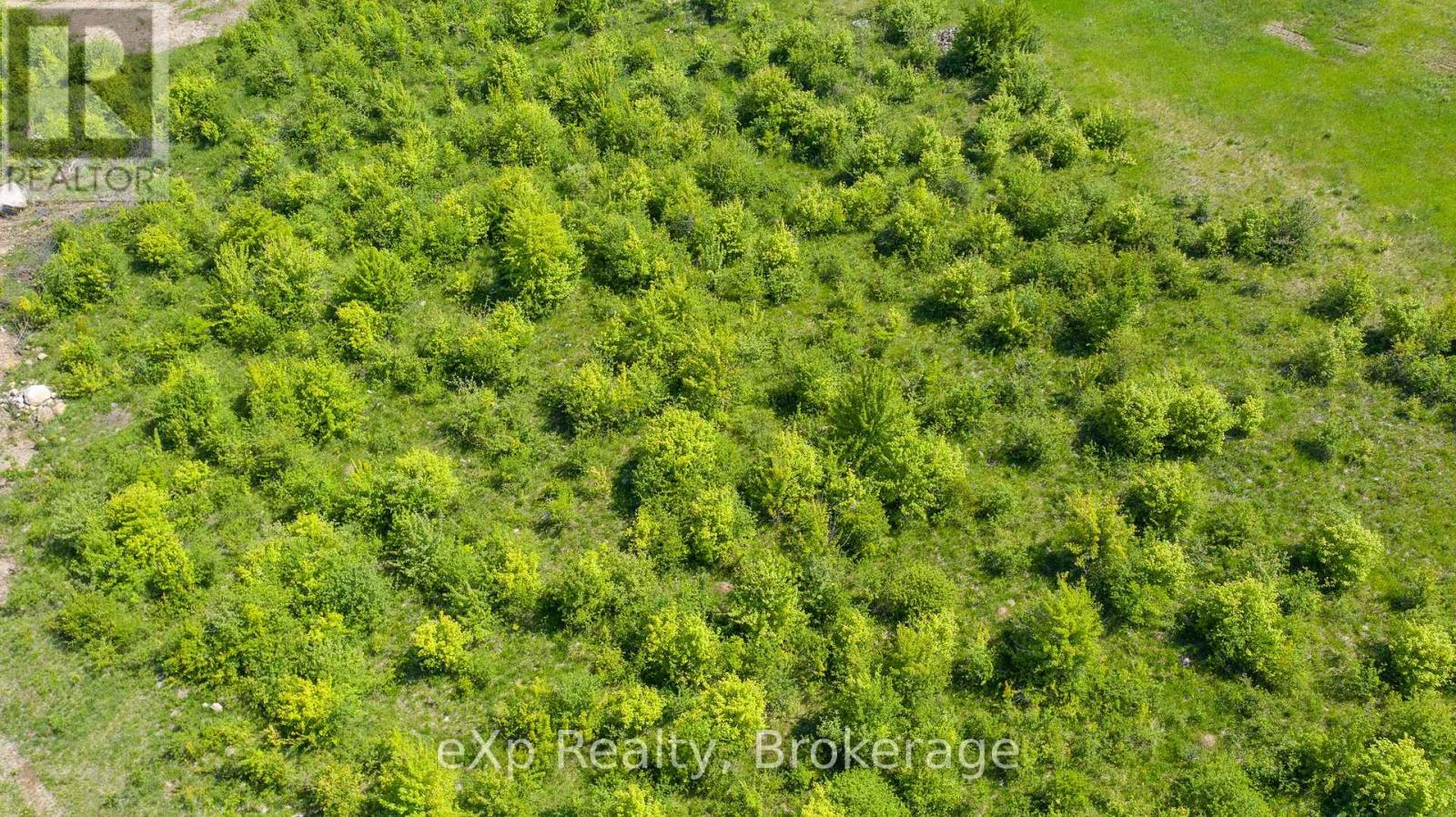 Lot 23 Con A, Side Road 23, Meaford, Ontario  N0H 1B0 - Photo 18 - X13468844