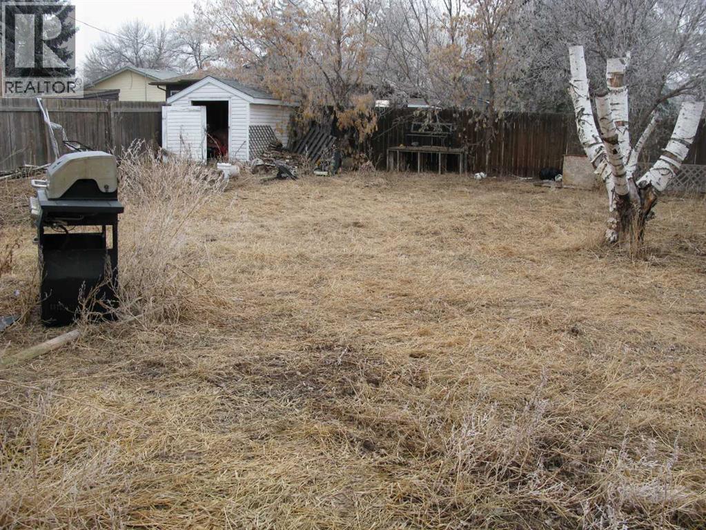 216 1 Street E, Duchess, Alberta  T0J 0Z0 - Photo 5 - A2294427