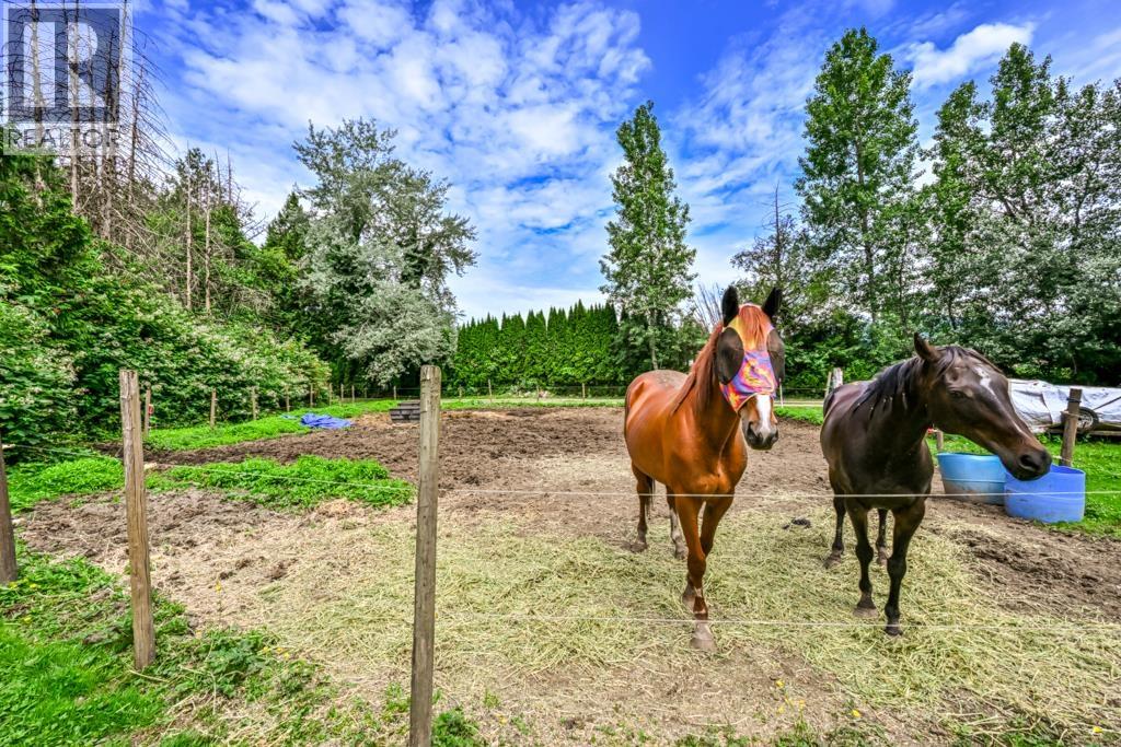 12478 248 Street, Maple Ridge, British Columbia  V4R 1K1 - Photo 31 - R3137891