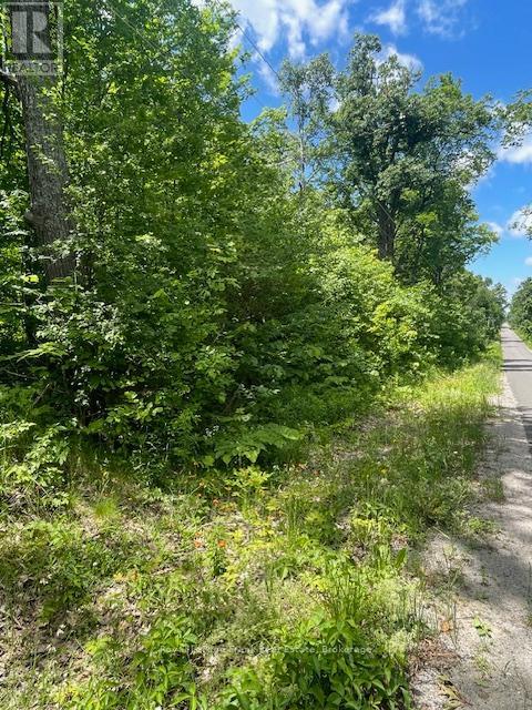 0 Balsam Lake Drive, Kawartha Lakes, Ontario  K0M 2B0 - Photo 12 - X13469182