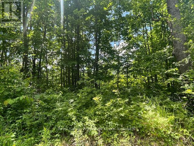 0 Balsam Lake Drive, Kawartha Lakes, Ontario  K0M 2B0 - Photo 13 - X13469182