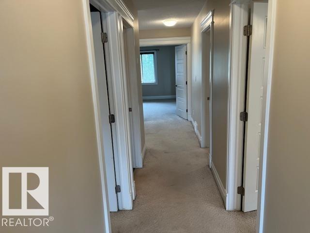 805 Hodgins Rd NW, Edmonton, Alberta  T6M 0L1 - Photo 21 - E4494761