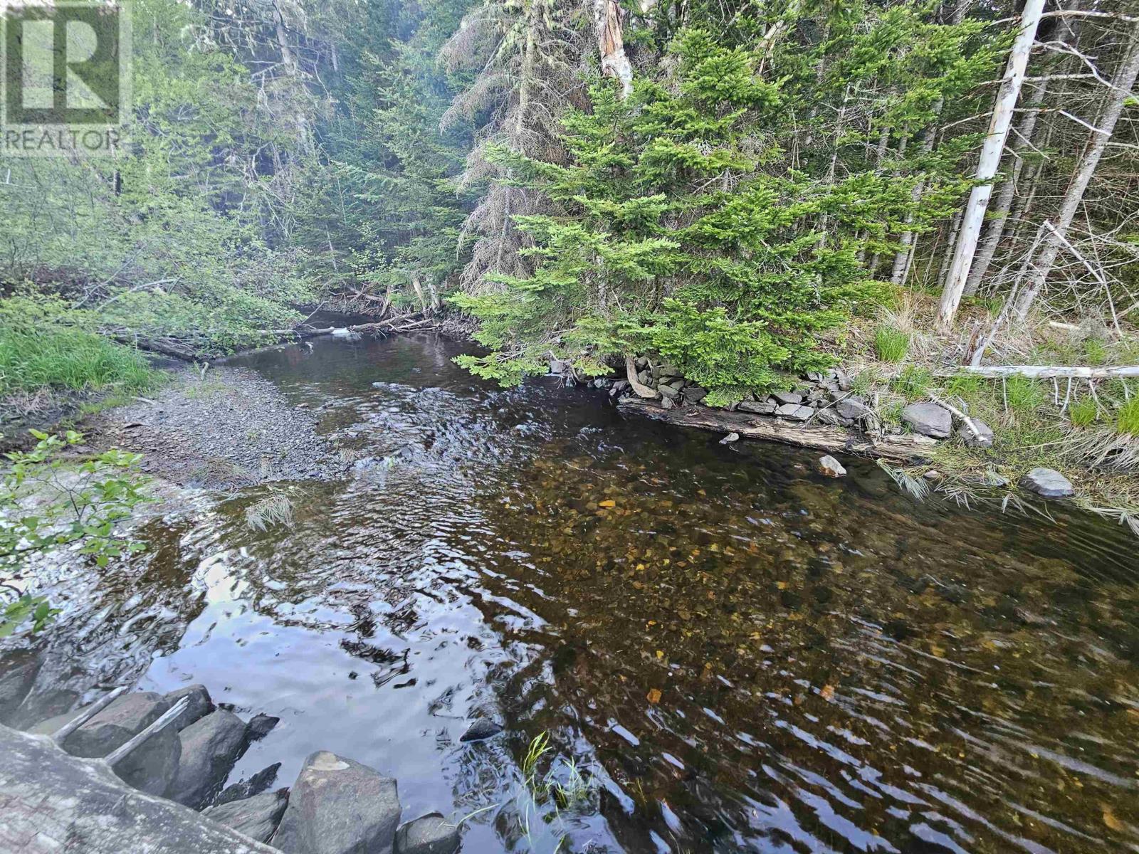Lot Highway 336, Dean, Nova Scotia  B0N 2M0 - Photo 11 - 202614339