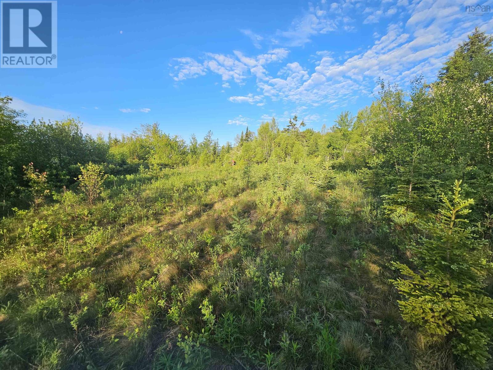 Lot Highway 336, Dean, Nova Scotia  B0N 2M0 - Photo 14 - 202614339
