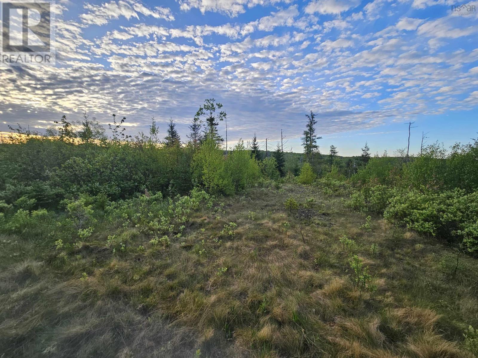Lot Highway 336, Dean, Nova Scotia  B0N 2M0 - Photo 8 - 202614339