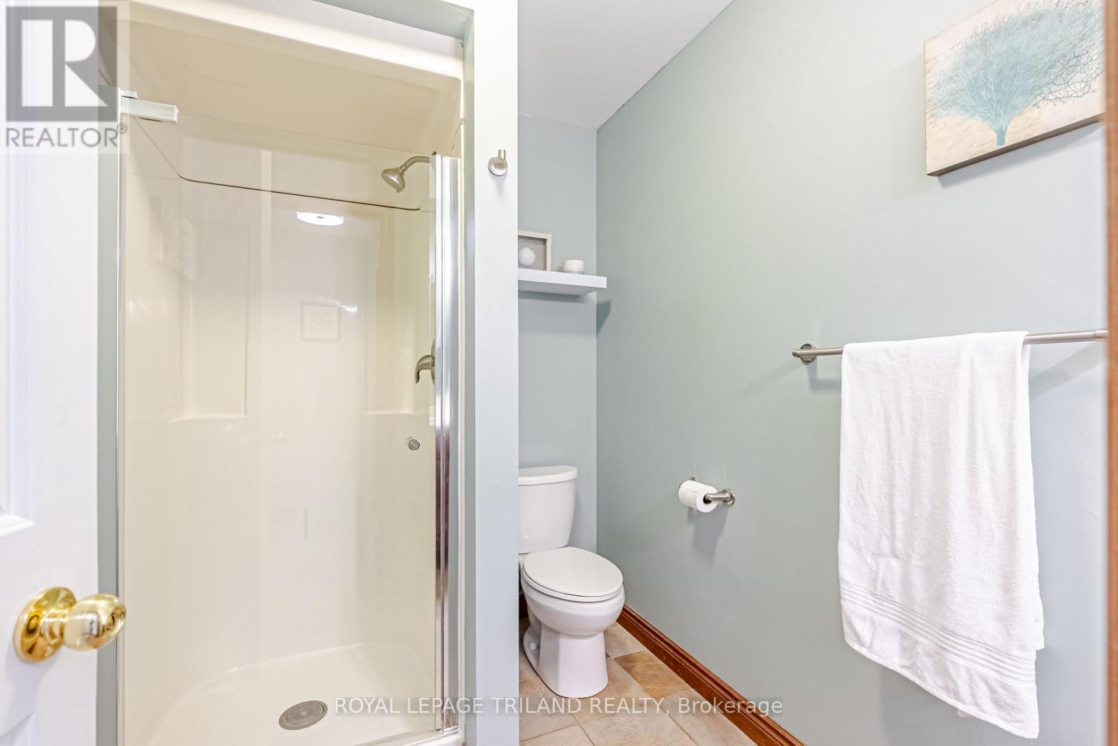 89 Parkview Drive, Thames Centre (Dorchester), Ontario  N0L 1G2 - Photo 39 - X13469374