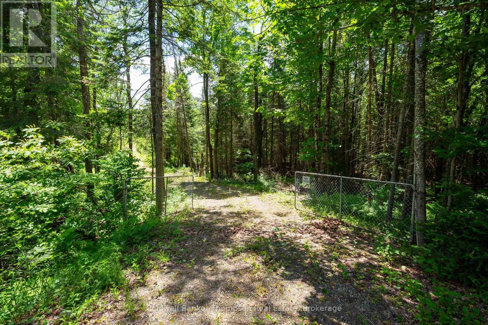 975 Boundary Road, Huntsville, Ontario P0A 1R0 - Photo 3 - X13469518
