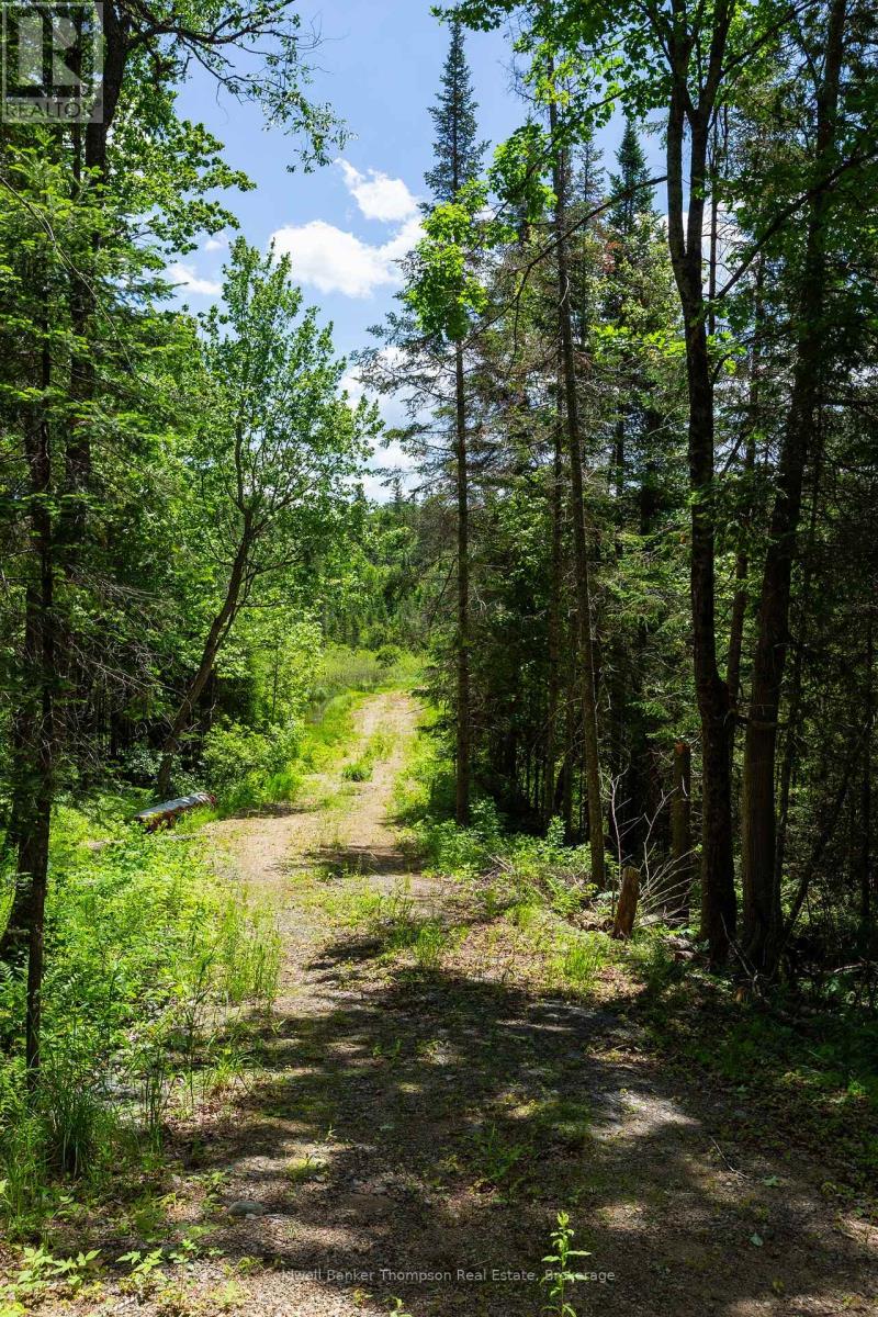 975 Boundary Road, Huntsville, Ontario P0A 1R0 - Photo 4 - X13469518