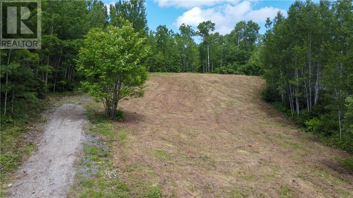190 Graham Road, Whitefish, Ontario  P0M 3E0 - Photo 1 - 2128683