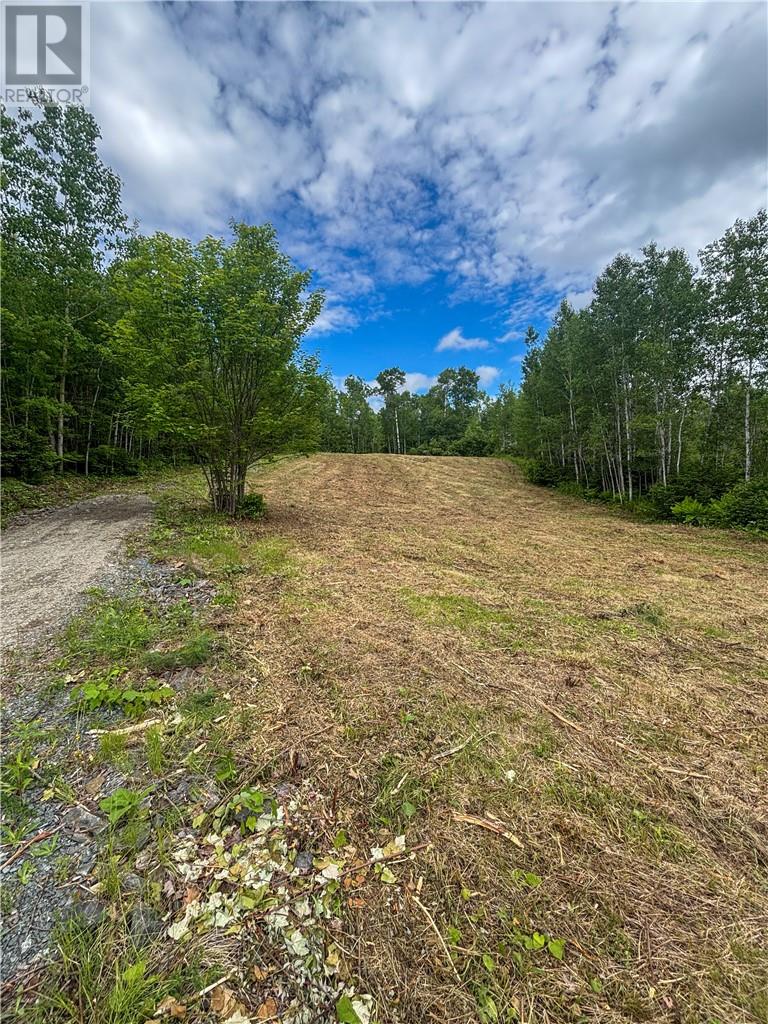 190 Graham Road, Whitefish, Ontario  P0M 3E0 - Photo 17 - 2128683
