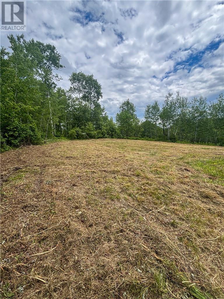 190 Graham Road, Whitefish, Ontario  P0M 3E0 - Photo 19 - 2128683