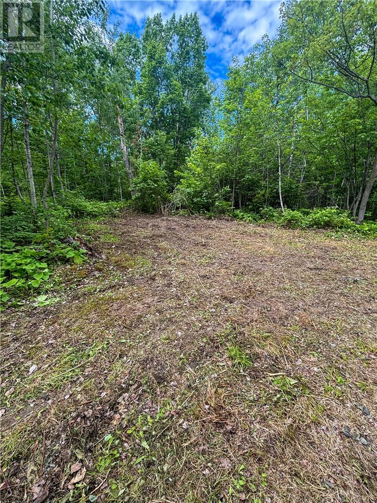 190 Graham Road, Whitefish, Ontario  P0M 3E0 - Photo 21 - 2128683