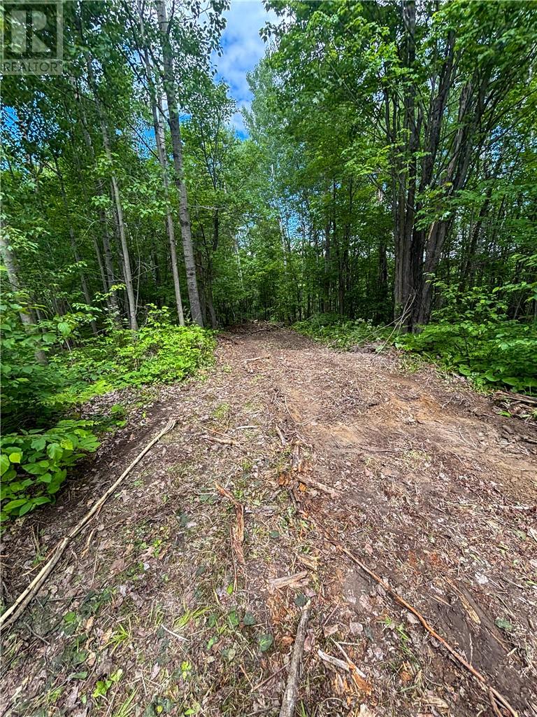 190 Graham Road, Whitefish, Ontario  P0M 3E0 - Photo 23 - 2128683