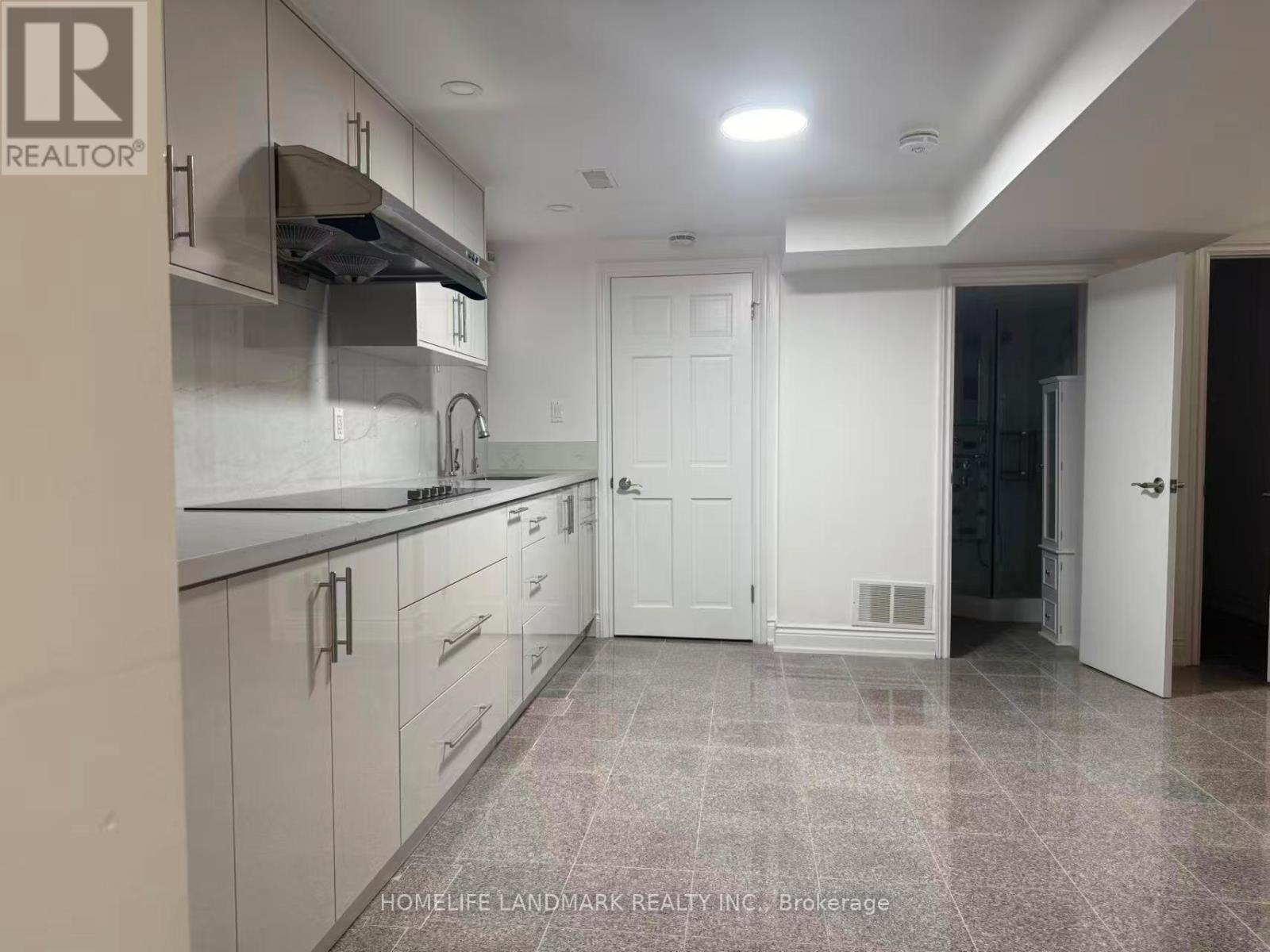 Basement - 339 Elmwood Avenue, Richmond Hill (Harding), Ontario  L4C 1L7 - Photo 9 - N13469608