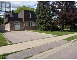 BASEMENT - 339 ELMWOOD AVENUE, Richmond Hill, Ontario