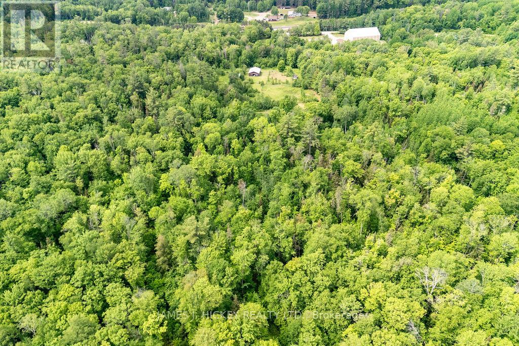 34926 Highway 17 West Highway, Laurentian Hills, Ontario  K0J 1P0 - Photo 31 - X13469736