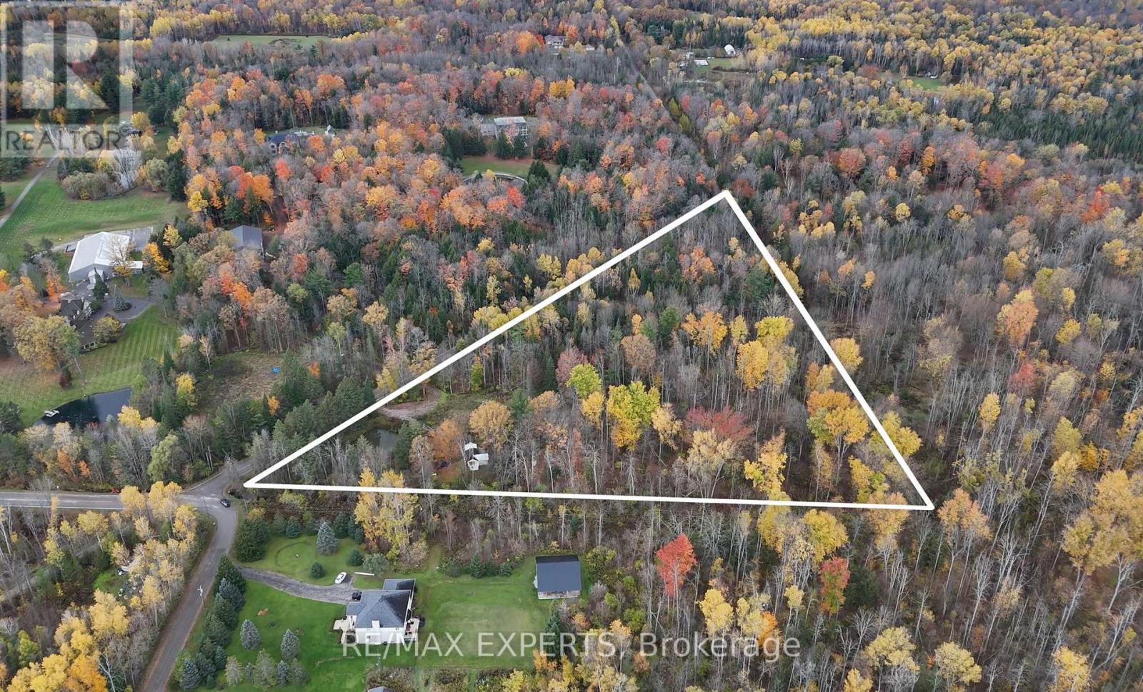 4530 19th Side Road, King, Ontario  L0G 1J0 - Photo 6 - N13469870