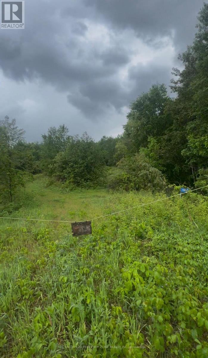 1965 Henderson Road, Frontenac, Ontario  K0H 0B6 - Photo 10 - X13470104