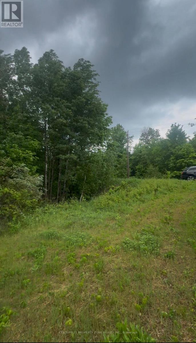 1965 Henderson Road, Frontenac, Ontario  K0H 0B6 - Photo 3 - X13470104