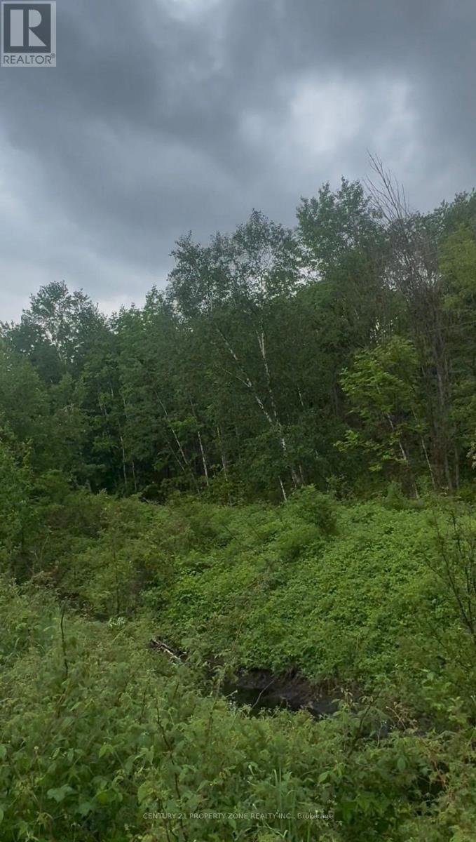 1965 Henderson Road, Frontenac, Ontario  K0H 0B6 - Photo 5 - X13470104