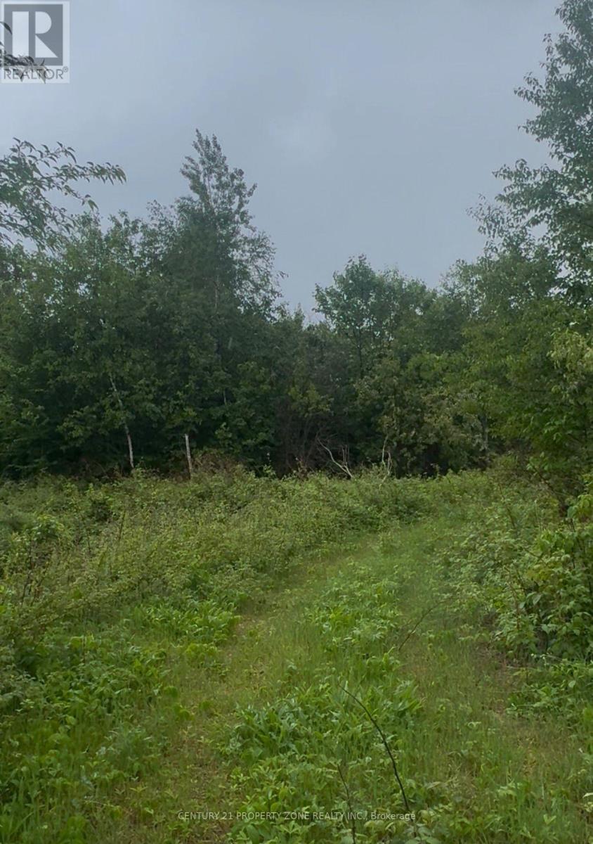 1965 Henderson Road, Frontenac, Ontario  K0H 0B6 - Photo 6 - X13470104