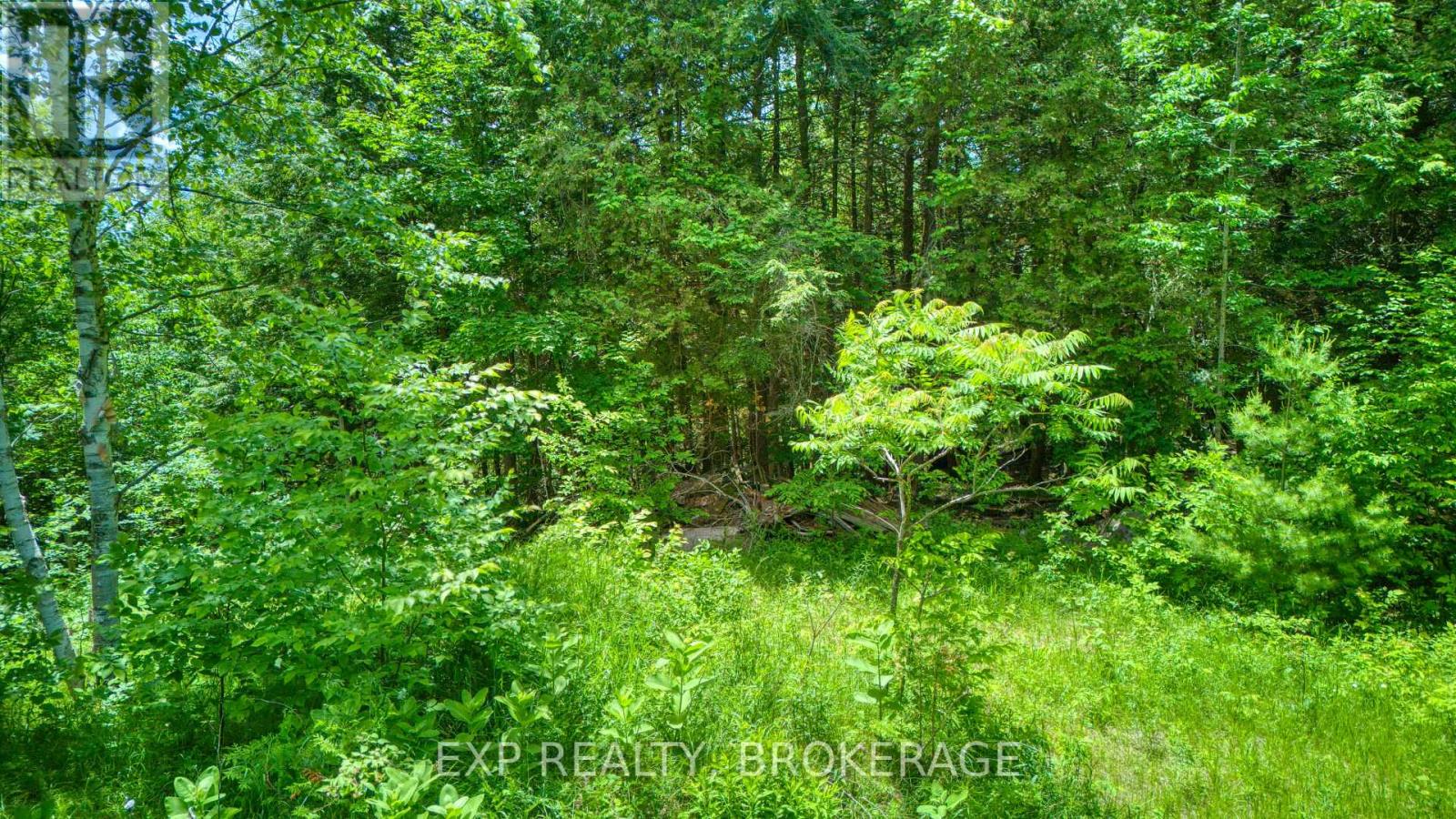 1142a Point Lane, Frontenac, Ontario  K0H 2P0 - Photo 18 - X13470122