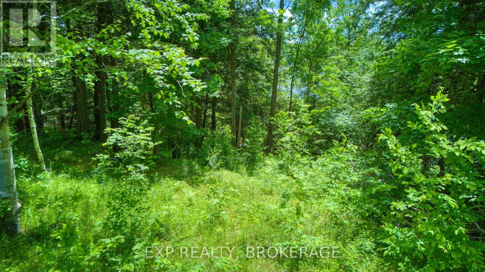 1142a Point Lane, Frontenac, Ontario  K0H 2P0 - Photo 19 - X13470122