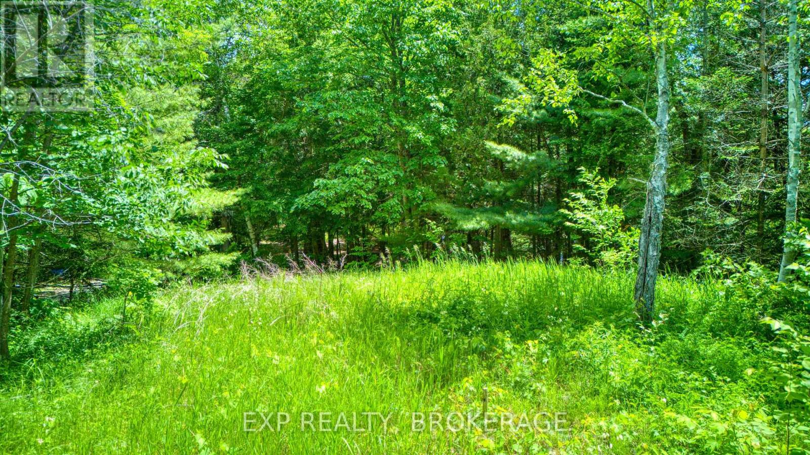 1142a Point Lane, Frontenac, Ontario  K0H 2P0 - Photo 20 - X13470122