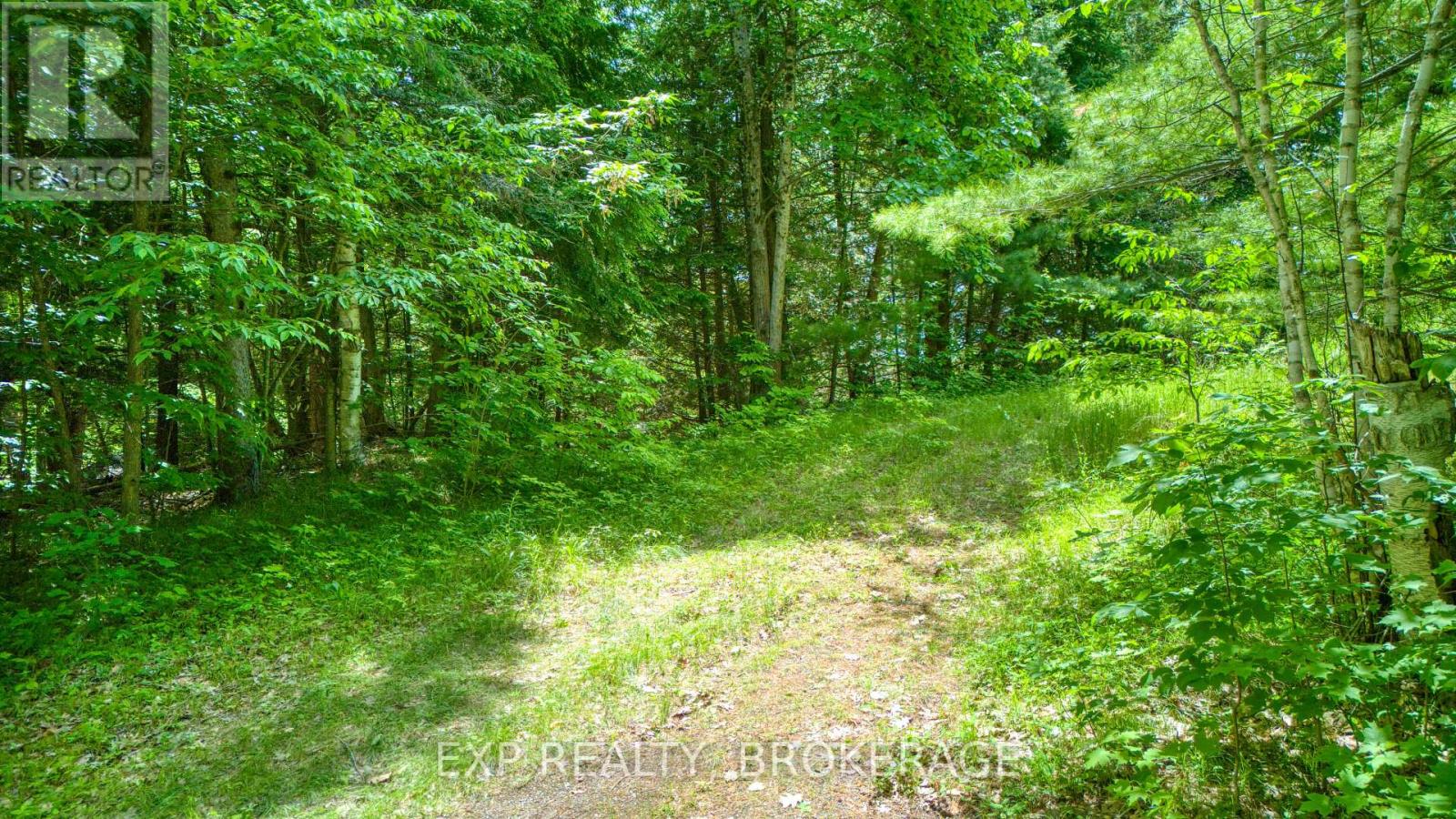 1142a Point Lane, Frontenac, Ontario  K0H 2P0 - Photo 22 - X13470122