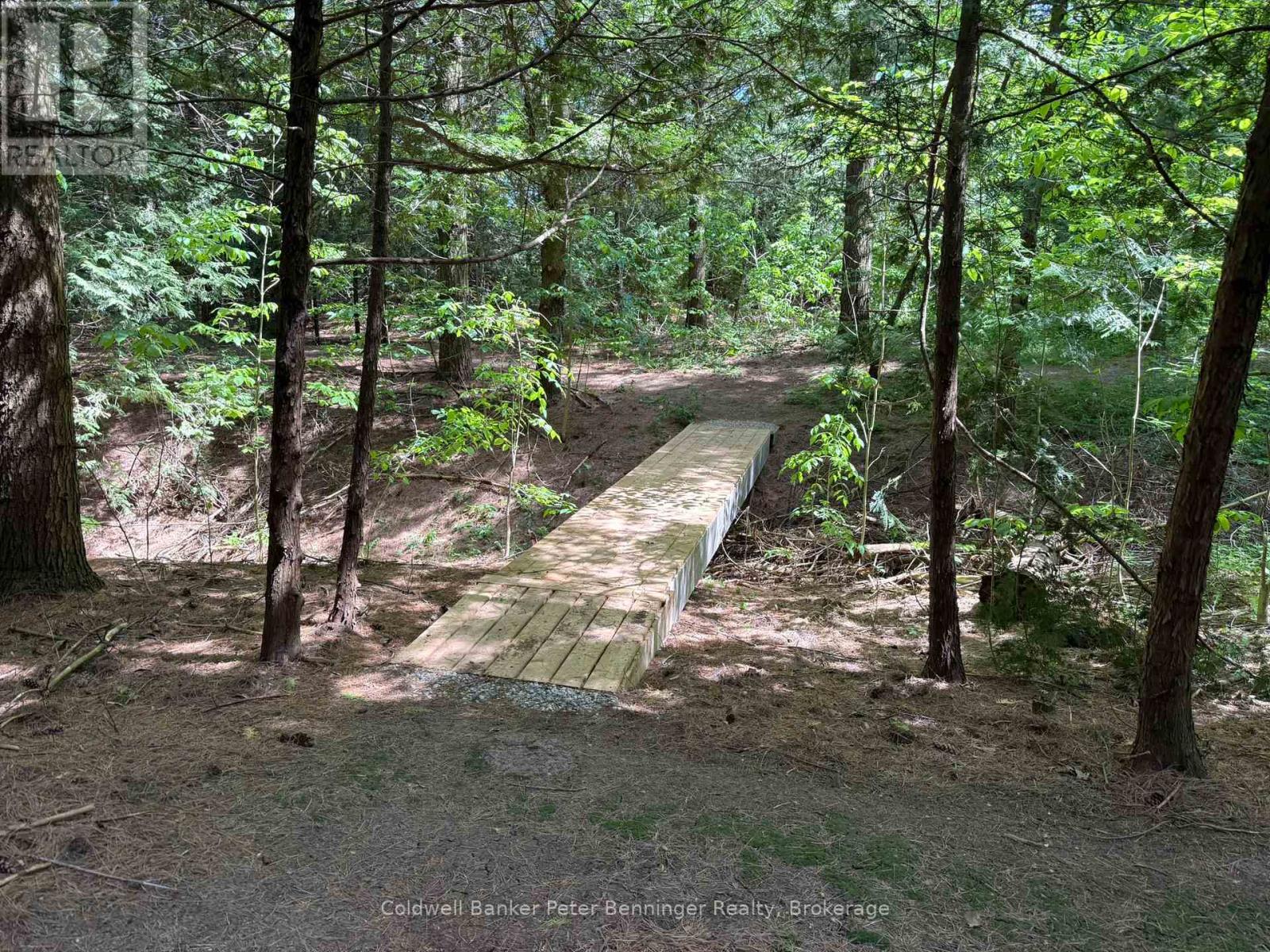 300 Canrobert Street, Arran-Elderslie, Ontario  N0G 2N0 - Photo 43 - X13453226