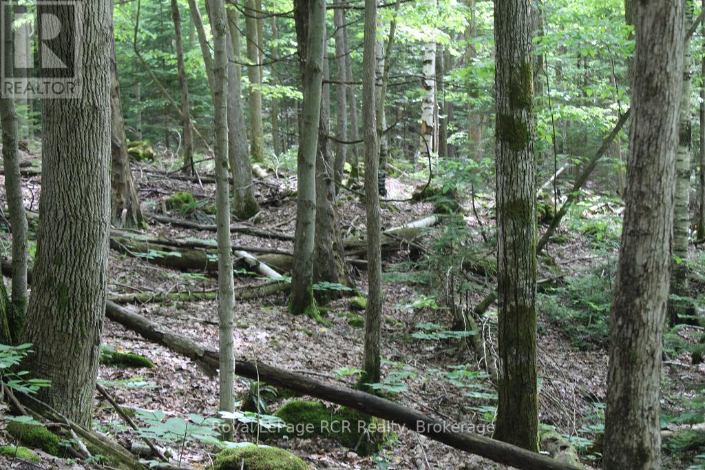 Pt Lt 15 Con 13 Concession 14 Road, Georgian Bluffs, Ontario  N0H 1P0 - Photo 6 - X13470298