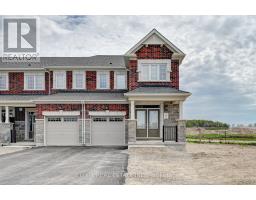(LOWER LEVEL) - 151 STAMSON STREET, Kitchener, Ontario