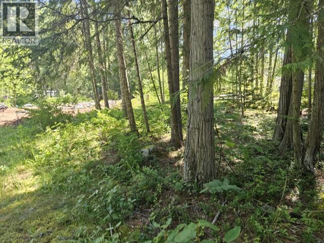 218 Clark Road, Burton, British Columbia  V0G 1E0 - Photo 38 - 10391802