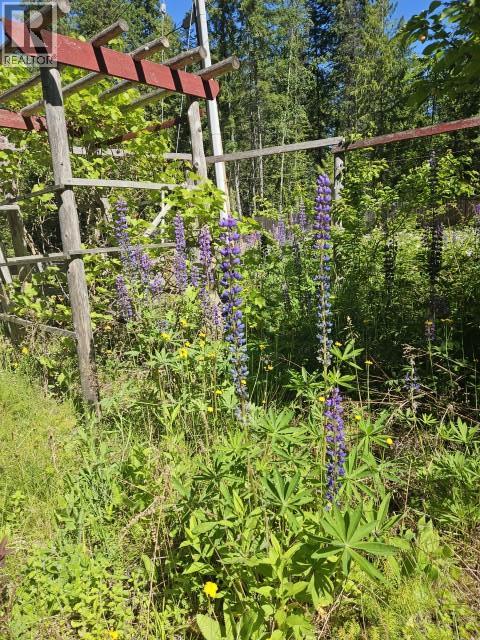 218 Clark Road, Burton, British Columbia  V0G 1E0 - Photo 39 - 10391802