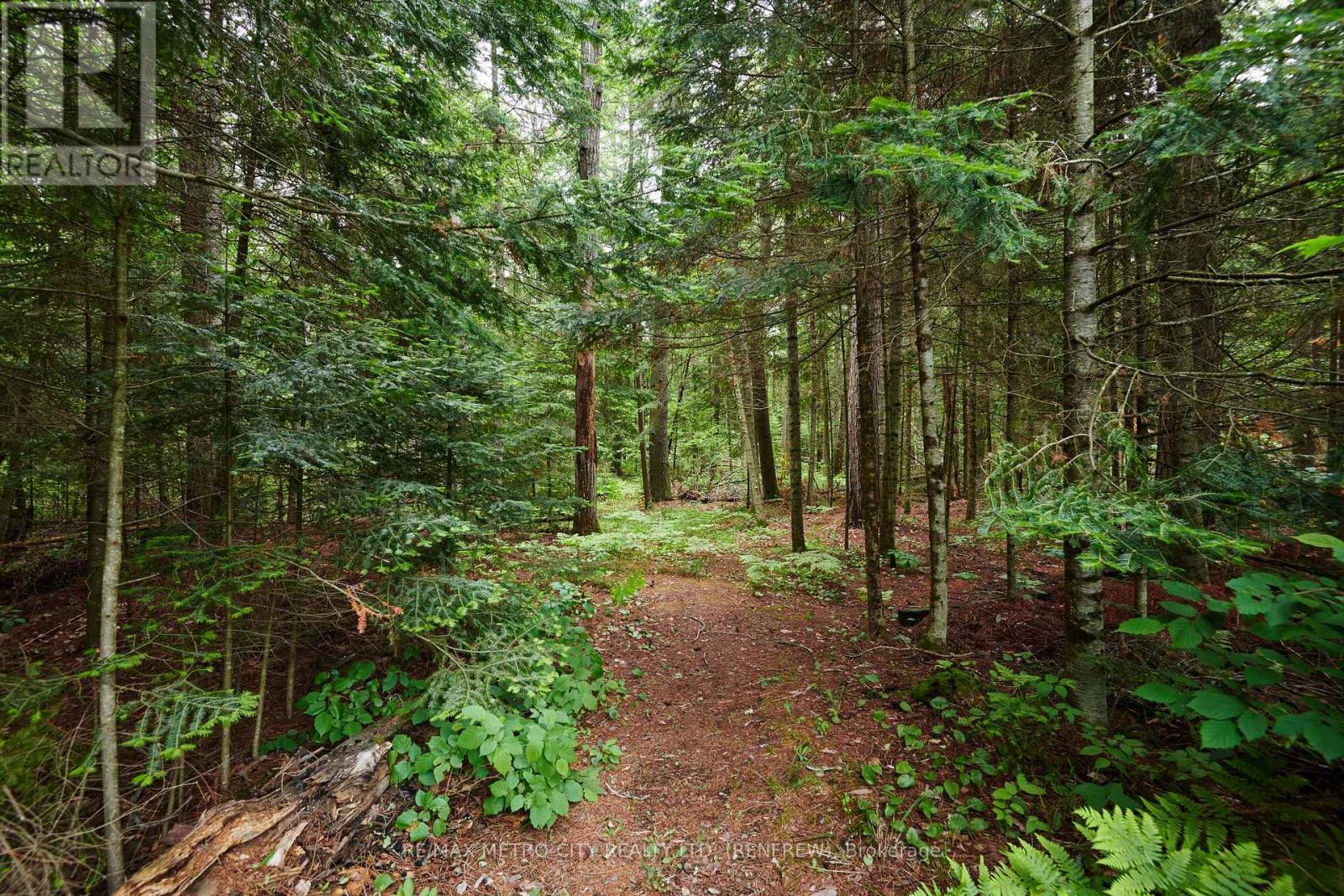 81 Flying Club Road, Greater Madawaska, Ontario  K0J 2R0 - Photo 25 - X13452126