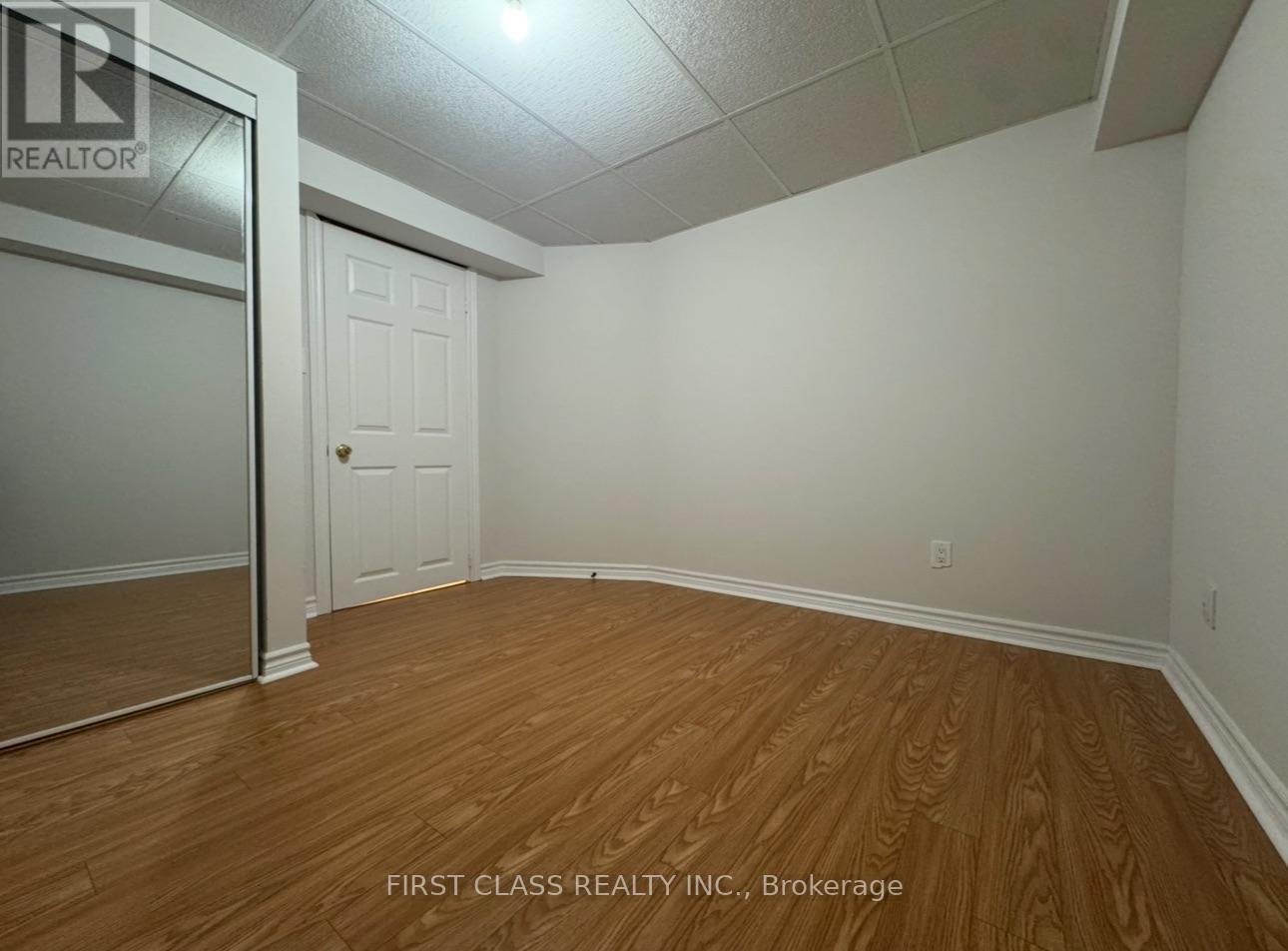 Basement - 132 Peninsula Crescent, Richmond Hill (Rouge Woods), Ontario  L4S 1X9 - Photo 6 - N13471012