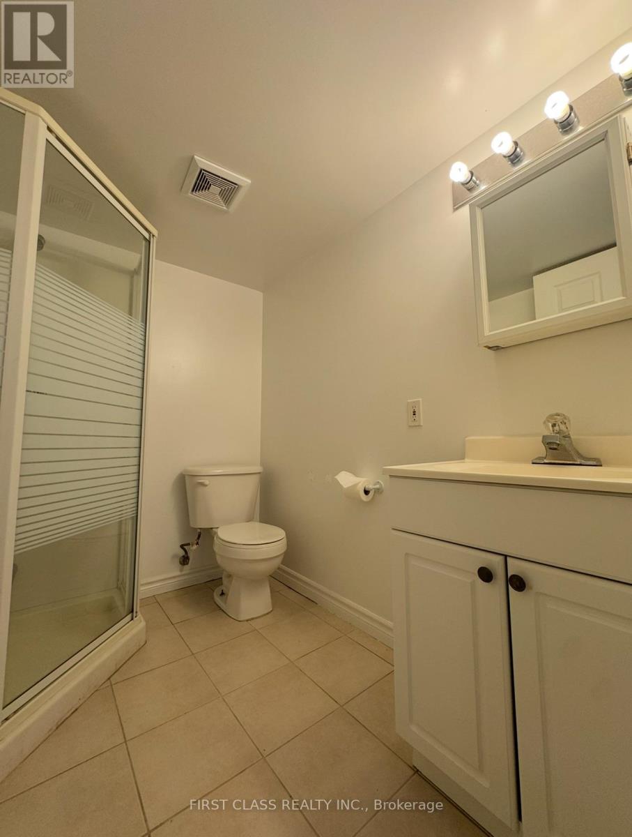 Basement - 132 Peninsula Crescent, Richmond Hill (Rouge Woods), Ontario  L4S 1X9 - Photo 8 - N13471012