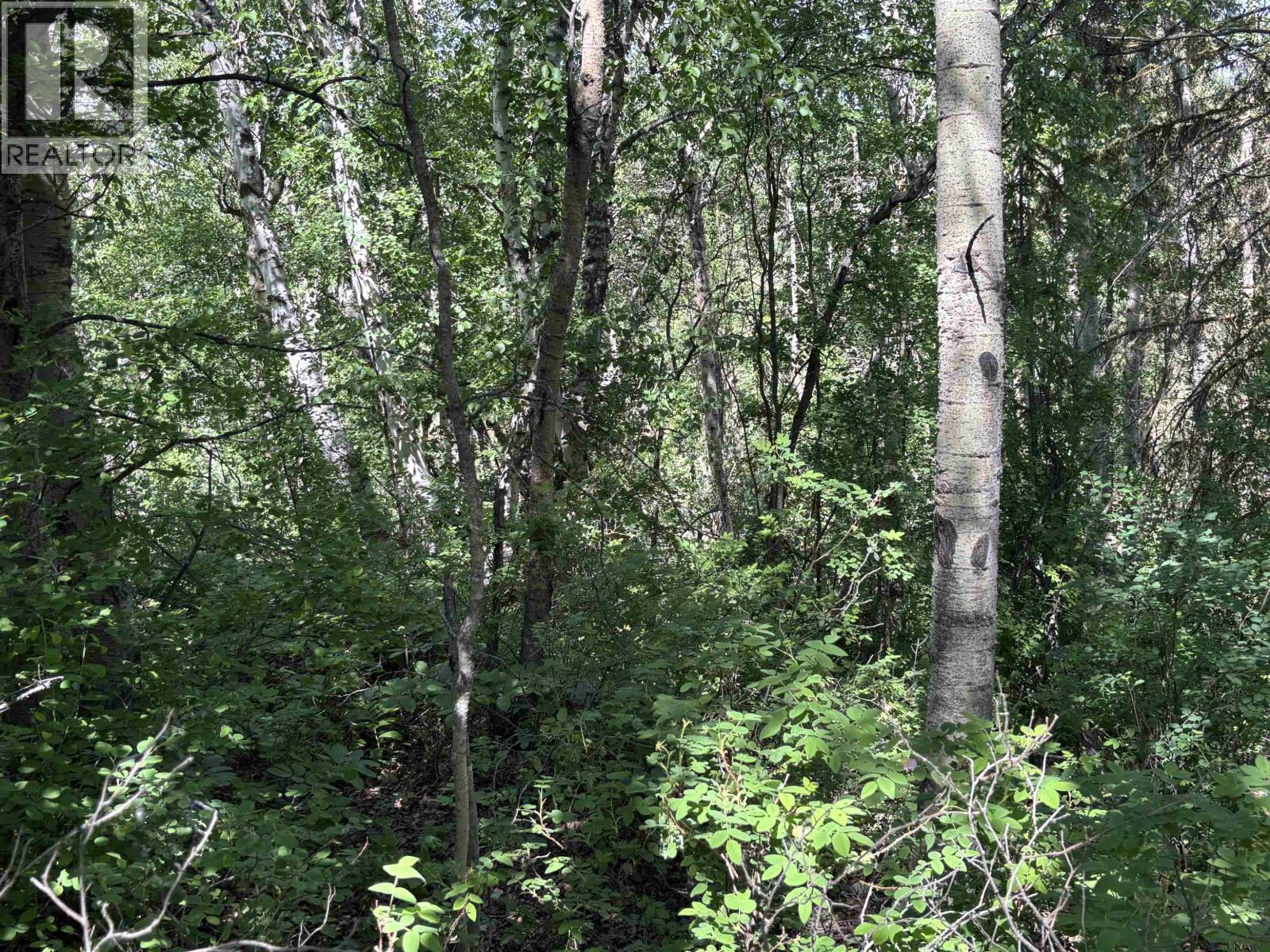 501 Silvermill Road, Vanderhoof, British Columbia  V0J 3A0 - Photo 5 - R3137816