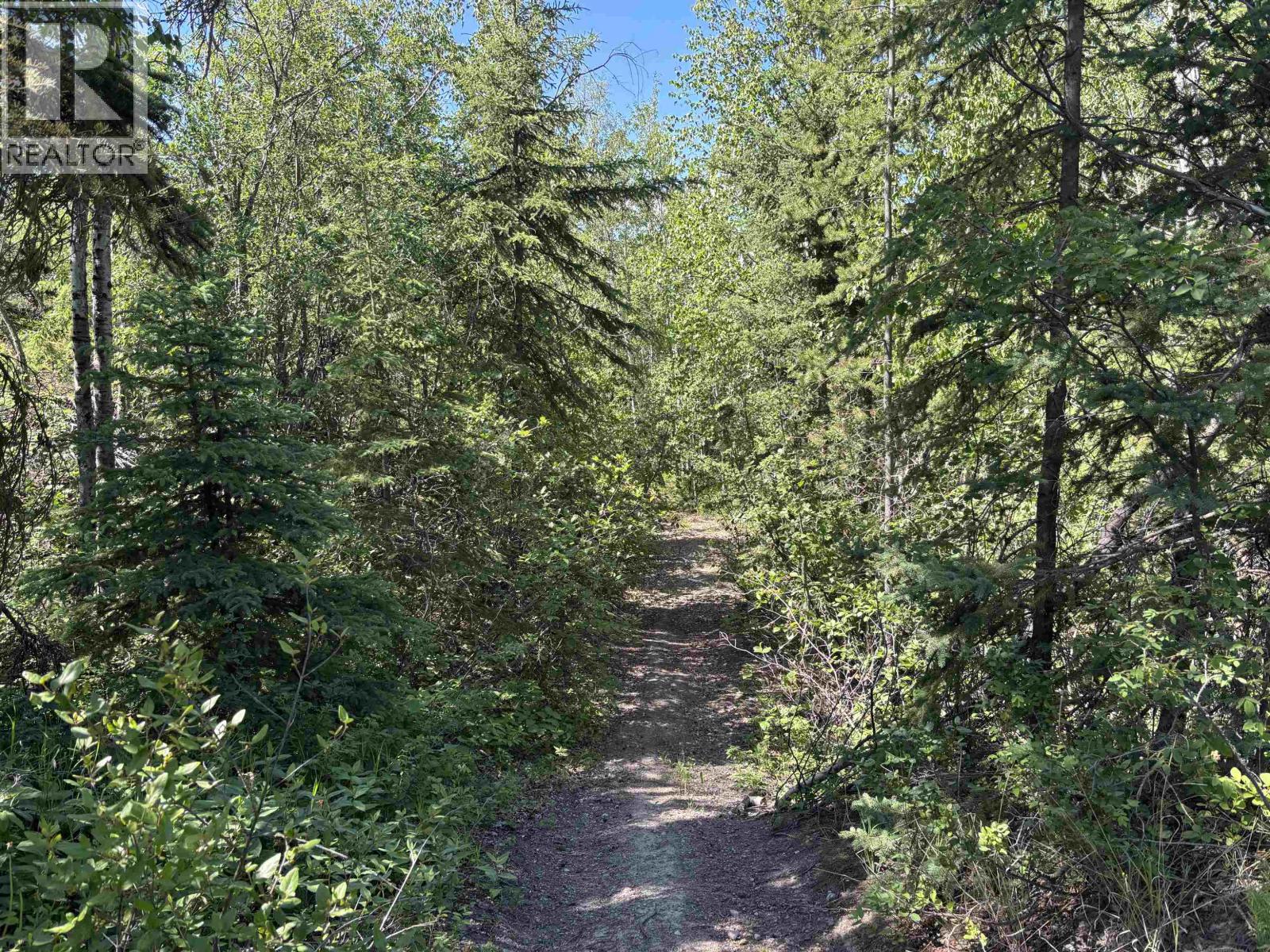501 Silvermill Road, Vanderhoof, British Columbia  V0J 3A0 - Photo 8 - R3137816