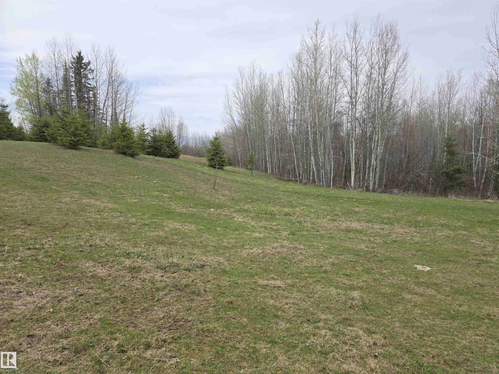460059 Rge Road 24, Rural Wetaskiwin County, Alberta  T0C 2V0 - Photo 25 - E4487071
