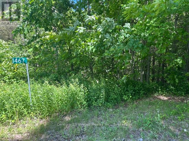 1467 Ford Drive, Cavan Monaghan, Ontario L0A 1C0 - Photo 5 - X13471190