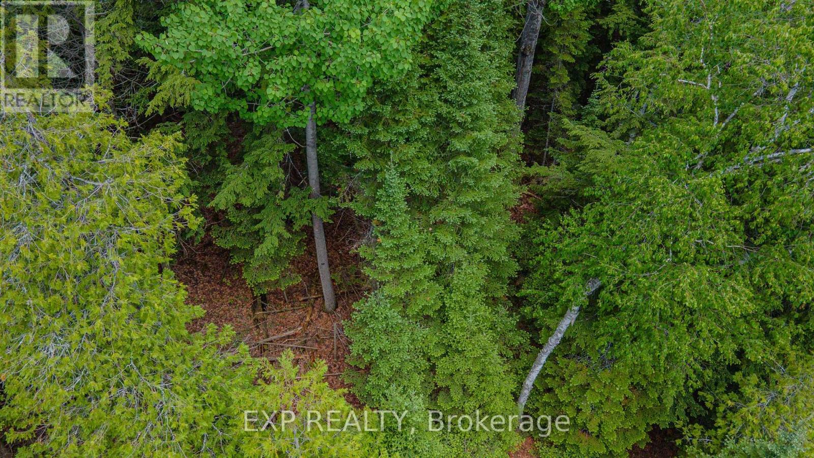 B Lot Arbor Vitae Road, Madawaska Valley, Ontario  K0J 1B0 - Photo 10 - X13471200