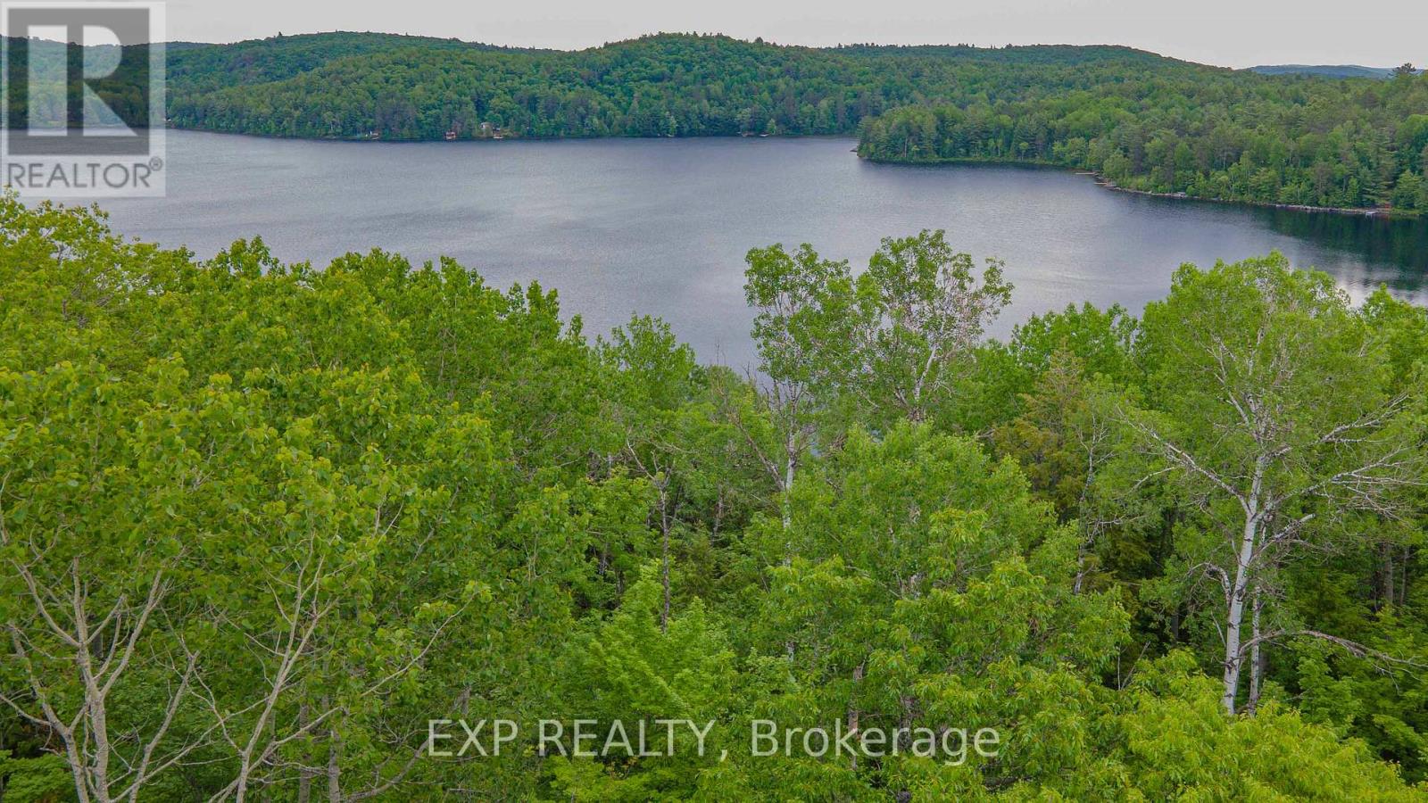 B Lot Arbor Vitae Road, Madawaska Valley, Ontario  K0J 1B0 - Photo 13 - X13471200