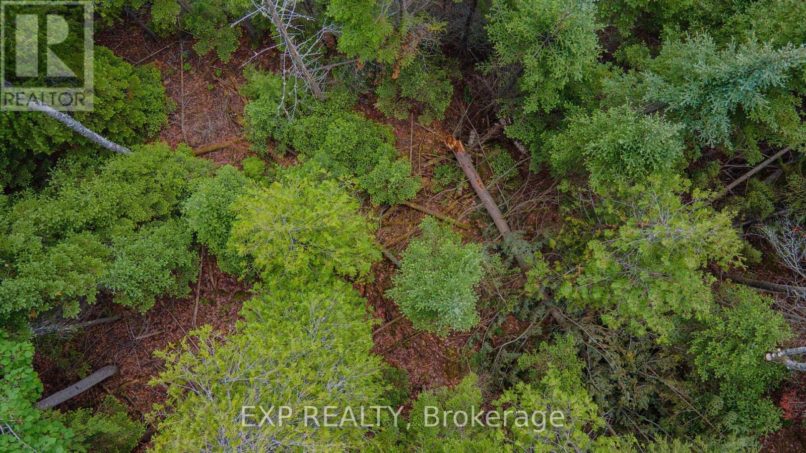 B Lot Arbor Vitae Road, Madawaska Valley, Ontario  K0J 1B0 - Photo 14 - X13471200
